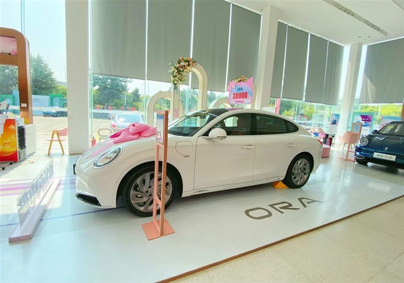 【遠(yuǎn)通新能源探店第6期】仙女座駕——?dú)W拉貓家族！#10427