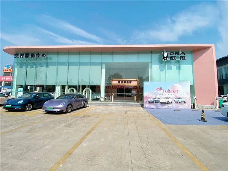 【遠(yuǎn)通新能源探店第6期】仙女座駕——?dú)W拉貓家族！#10425